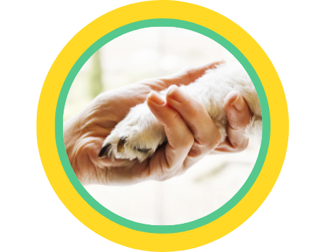 A hand holing a white dog paw in a yellow and green circle frame