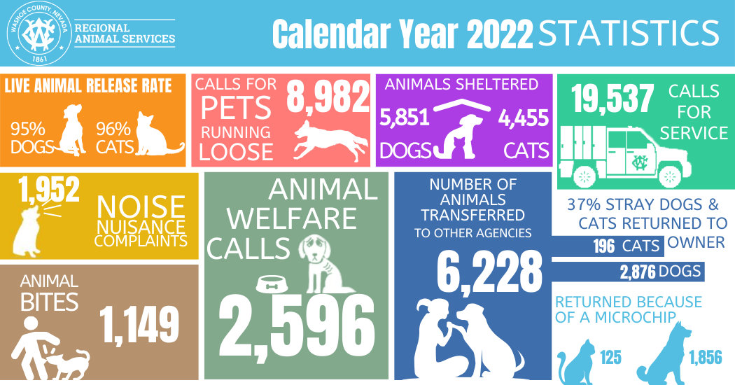 Infographic summarizing 2022 statistics