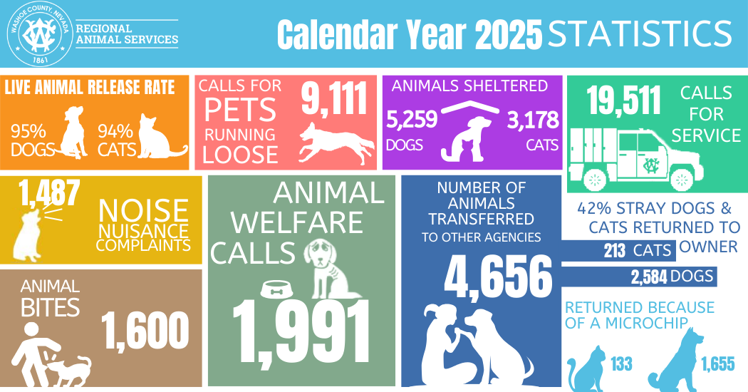 Infographic summarizing 2025 statistics