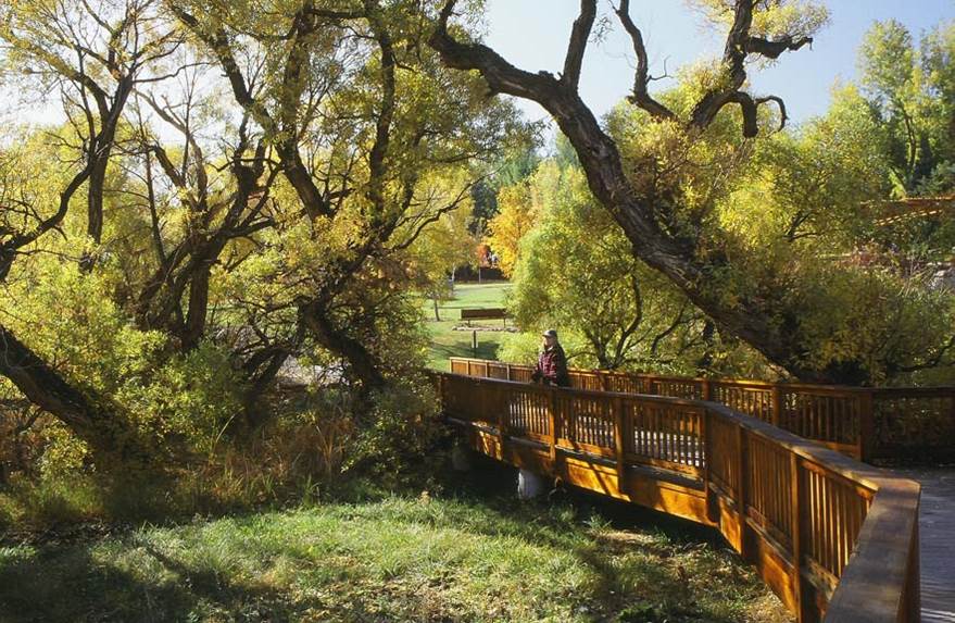 Evans Creek Bridge Picture