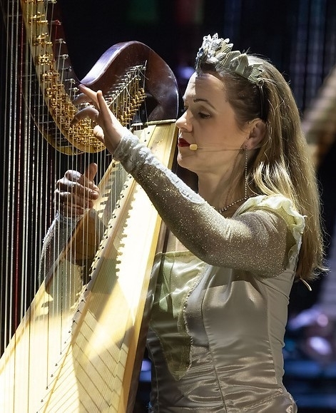 a musician playing a harp