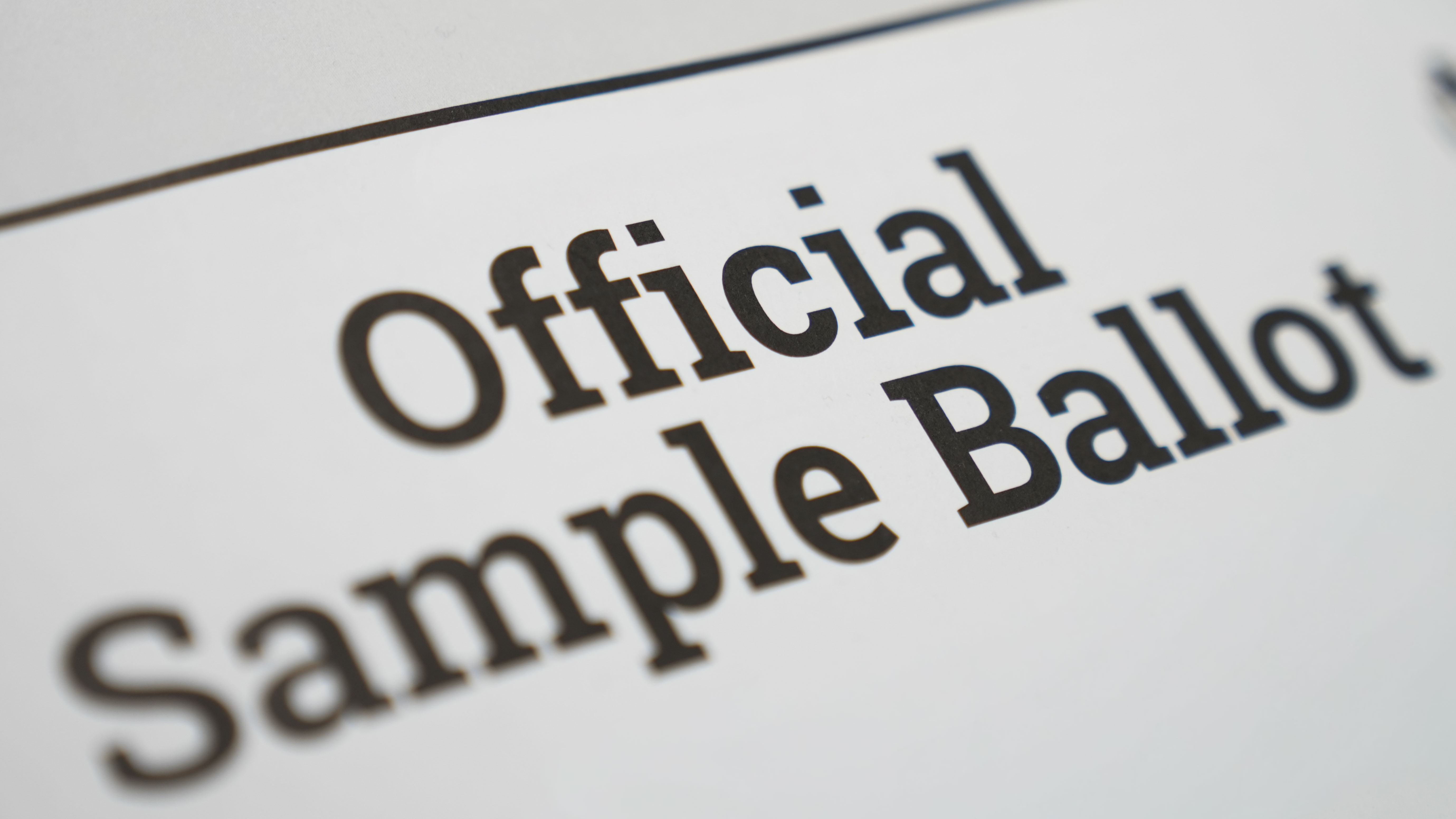 View your Sample Ballot