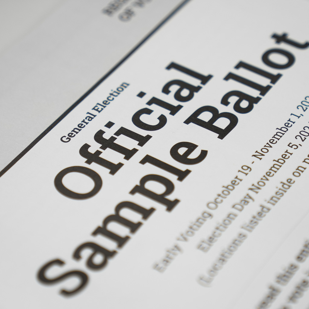 Explore your voting options